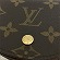 CBg Louis Vuitton mO |gl O[ M61970 z RCP[X jZbNX yÁz