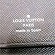 CBg Louis Vuitton _~GOtBbg Wbs[EHbg FeBJ N63095 z jZbNX yÁz