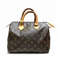 CBg Louis Vuitton mO Xs[fB25 M41528 ~j{Xg obO nhobO jZbNX yÁz