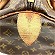 CBg Louis Vuitton mO Xs[fB25 M41528 obO nhobO fB[X yÁz
